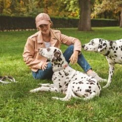 Collar Nomad Tales Spirit Piedra Para Perros 21 Collar Nomad Tales Spirit Piedra Para Perros -Mascota Suministros Ventas 329197 nomad tales spirit halsband stone 04 4