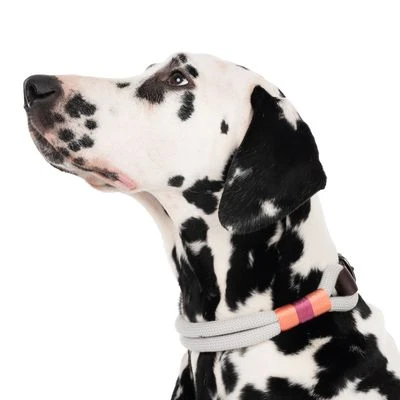 Collar Nomad Tales Spirit Piedra Para Perros 5 Collar Nomad Tales Spirit Piedra Para Perros - Imagen 3