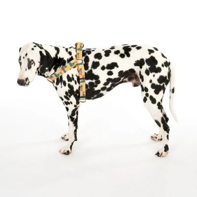 Arnés TIAKI Easy Care Para Perros 12 Arnés TIAKI Easy Care Para Perros - Imagen 10