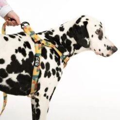 Arnés TIAKI Easy Care Para Perros 31 Arnés TIAKI Easy Care Para Perros -Mascota Suministros Ventas 332204 easy care geschirr l fg 0490 7