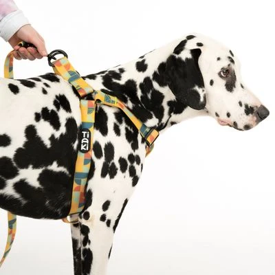 Arnés TIAKI Easy Care Para Perros 16 Arnés TIAKI Easy Care Para Perros - Imagen 14