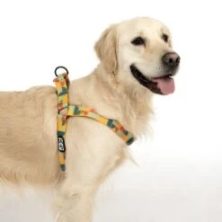 Arnés TIAKI Easy Care Para Perros 25 Arnés TIAKI Easy Care Para Perros -Mascota Suministros Ventas 332204 easy care geschirr l fg 1749 9