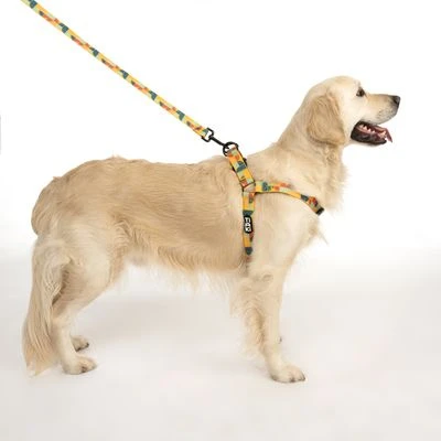 Arnés TIAKI Easy Care Para Perros 17 Arnés TIAKI Easy Care Para Perros - Imagen 15