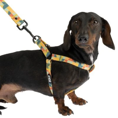 Arnés TIAKI Easy Care Para Perros 7 Arnés TIAKI Easy Care Para Perros - Imagen 5