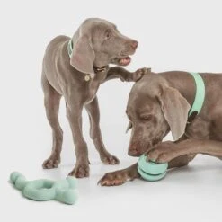 Pelota Portasnacks Nomad Tales Bloom Snack Roller Juguete Para Perros 19 Pelota Portasnacks Nomad Tales Bloom Snack Roller Juguete Para Perros -Mascota Suministros Ventas 333015 nomad tales snack ball 01 4