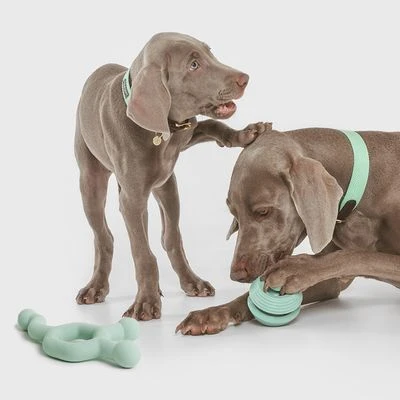 Pelota Portasnacks Nomad Tales Bloom Snack Roller Juguete Para Perros 11 Pelota Portasnacks Nomad Tales Bloom Snack Roller Juguete Para Perros - Imagen 9