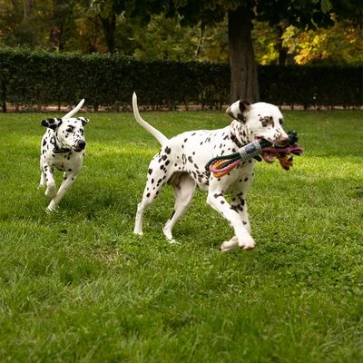 Cuerdas Varias Nomad Tales Spirit Multirope Juguete Para Perros 15 Cuerdas Varias Nomad Tales Spirit Multirope Juguete Para Perros - Imagen 13