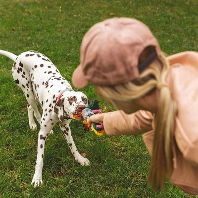 Cuerdas Varias Nomad Tales Spirit Multirope Juguete Para Perros 8 Cuerdas Varias Nomad Tales Spirit Multirope Juguete Para Perros - Imagen 6