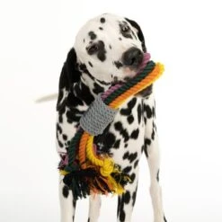 Cuerdas Varias Nomad Tales Spirit Multirope Juguete Para Perros 22 Cuerdas Varias Nomad Tales Spirit Multirope Juguete Para Perros -Mascota Suministros Ventas 333098 spirit multirope fg 0527 1