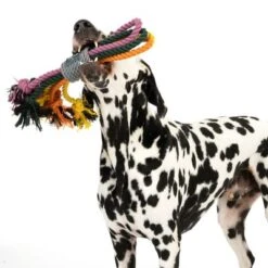 Cuerdas Varias Nomad Tales Spirit Multirope Juguete Para Perros 24 Cuerdas Varias Nomad Tales Spirit Multirope Juguete Para Perros -Mascota Suministros Ventas 333098 spirit multirope fg 0530 3