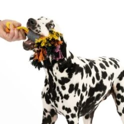 Cuerdas Varias Nomad Tales Spirit Multirope Juguete Para Perros 18 Cuerdas Varias Nomad Tales Spirit Multirope Juguete Para Perros -Mascota Suministros Ventas 333098 spirit multirope fg 0536 2