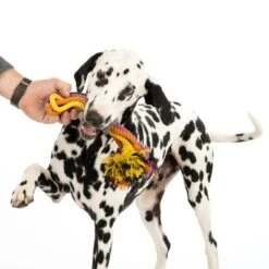 Cuerdas Varias Nomad Tales Spirit Multirope Juguete Para Perros 26 Cuerdas Varias Nomad Tales Spirit Multirope Juguete Para Perros -Mascota Suministros Ventas 333098 spirit multirope fg 0537 5