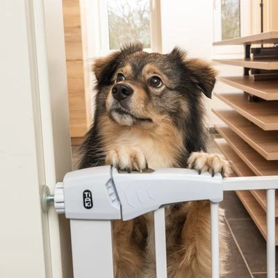 Barrera Blanca TIAKI Con 7 Cm De Extensión Para Perros 9 Barrera Blanca TIAKI Con 7 Cm De Extensión Para Perros - Imagen 7