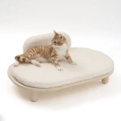 Sofá Osaka Modern Living Para Mascotas 26 Sofá Osaka Modern Living Para Mascotas -Mascota Suministros Ventas 342803 modern living osaka katze 0629 4