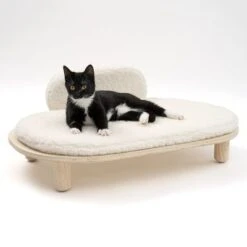 Sofá Osaka Modern Living Para Mascotas 20 Sofá Osaka Modern Living Para Mascotas -Mascota Suministros Ventas 342803 modern living osaka katze 0649 1