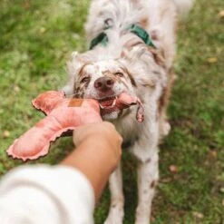 Blush Flying X Nomad Tales Juguete Para Perros -Mascota Suministros Ventas 344597 nomad tales blush flyingx hs 03 2