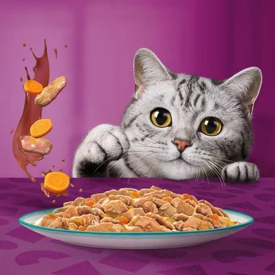 Whiskas Tasty Mix 48 X 85 G Pack Mixto En Bolsitas 8 Whiskas Tasty Mix 48 X 85 G Pack Mixto En Bolsitas - Imagen 6