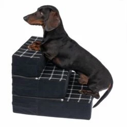 Escalera Para Mascotas TIAKI Step & Sleep 25 Escalera Para Mascotas TIAKI Step & Sleep -Mascota Suministros Ventas 363096 tiaki pet stairs step sleep fg 9043 4