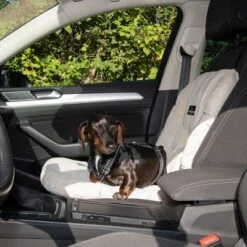 Asiento Para El Coche Nomad Tales Blush Para Perros, Beige 12 Asiento Para El Coche Nomad Tales Blush Para Perros, Beige -Mascota Suministros Ventas 376802 nt dog car seat fg 4824 8