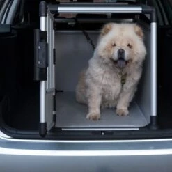 Jaula De Transporte Trixie De Aluminio 34 Jaula De Transporte Trixie De Aluminio -Mascota Suministros Ventas 42815 trixie transportbox alu fg 3618 0