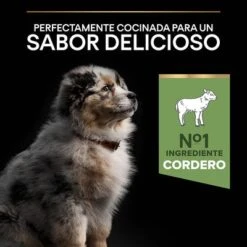 Purina Pro Plan Medium Puppy Sensitive Digestion Cordero Y Arroz -Mascota Suministros Ventas 44142631 es es 221230 1 6