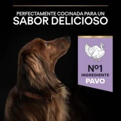 PURINA PRO PLAN Small & Mini Adult Sensitive Digestion Sin Cereales 16 PURINA PRO PLAN Small & Mini Adult Sensitive Digestion Sin Cereales -Mascota Suministros Ventas 44157647 es es 221230 1 5