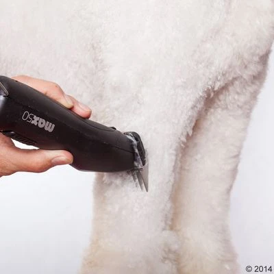 Máquina Cortapelo Moser Max50 15 Máquina Cortapelo Moser Max50 - Imagen 13