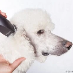 Máquina Cortapelo Moser Max50 30 Máquina Cortapelo Moser Max50 -Mascota Suministros Ventas 465281 schermaschine moser max 50 05 4