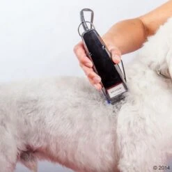 Máquina Cortapelo Moser 1400 -Mascota Suministros Ventas 465374 schermaschine moser 1400 04 2