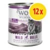 Wolf Of Wilderness Senior 12 X 800 G - Pack Ahorro 1 Wolf Of Wilderness Senior 12 X 800 G - Pack Ahorro -Mascota Suministros Ventas 4 12x 1000x1000px 3