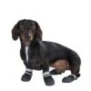 Zapatos Para Perros S & P Boots -Mascota Suministros Ventas 52149 hundeschuhe xs fg 0839 ret 3