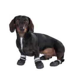 Productos Destacados 16 Zapatos Para Perros S & P Boots