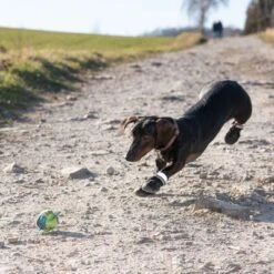 Zapatos Para Perros S & P Boots -Mascota Suministros Ventas 52149 hundeschuhe xs fg 0967 9
