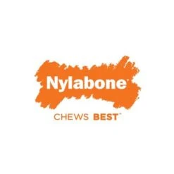 Hueso Nylabone Dura Chew Beef Jerky Con Aroma A Carne -Mascota Suministros Ventas 58926 interpet nylabone puppybone hs 04 9