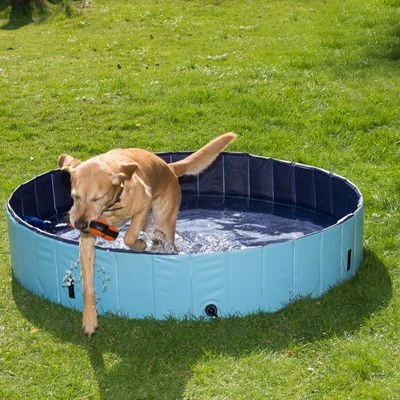 Piscina Para Perros Keep Cool 22 Piscina Para Perros Keep Cool - Imagen 20