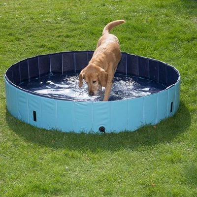 Piscina Para Perros Keep Cool 21 Piscina Para Perros Keep Cool - Imagen 19