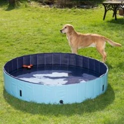 Piscina Para Perros Keep Cool 38 Piscina Para Perros Keep Cool -Mascota Suministros Ventas 60405 dog pool mit hund 04 8