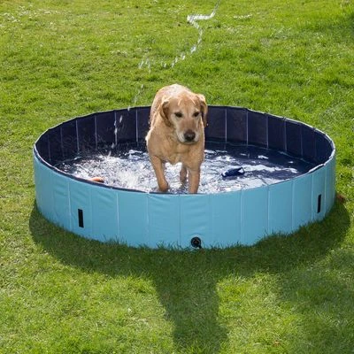 Piscina Para Perros Keep Cool 20 Piscina Para Perros Keep Cool - Imagen 18