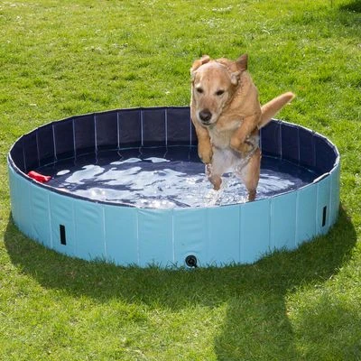 Piscina Para Perros Keep Cool 3 Piscina Para Perros Keep Cool