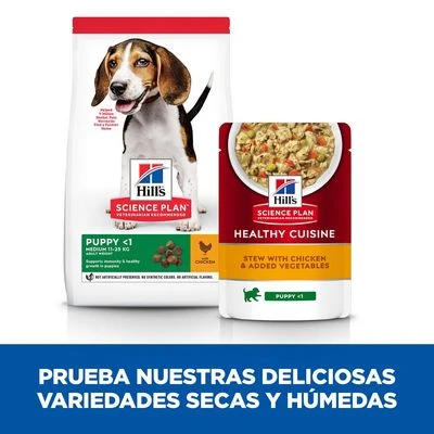 Hill's Science Plan Hill’s Puppy Medium & Large Healthy Cuisine Con Pollo Para Perros 7 Hill's Science Plan Hill’s Puppy Medium & Large Healthy Cuisine Con Pollo Para Perros - Imagen 5
