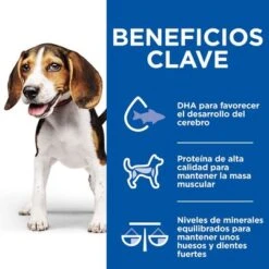 Hill's Science Plan Hill’s Puppy Medium & Large Healthy Cuisine Con Pollo Para Perros 23 Hill's Science Plan Hill’s Puppy Medium & Large Healthy Cuisine Con Pollo Para Perros -Mascota Suministros Ventas 606601 9 4