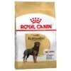 Royal Canin Rottweiler Adult 1 Royal Canin Rottweiler Adult -Mascota Suministros Ventas 61166 pla royalcanin adulthund rottweiler 7