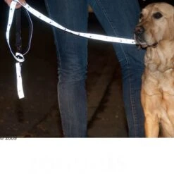 Correa Ajustable Y Reflectante Trixie Color Gris 11 Correa Ajustable Y Reflectante Trixie Color Gris -Mascota Suministros Ventas 61857 trixie vleinepfoten4 1