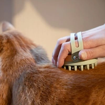 Kooa Cepillo Masajeador Para Gatos 8 Kooa Cepillo Masajeador Para Gatos - Imagen 6