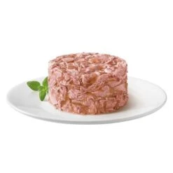 Megapack Gourmet Gold Tartelette 48 X 85 G -Mascota Suministros Ventas 69003 purina gourmet gold raffiniertes ragout mit thunfisch 7