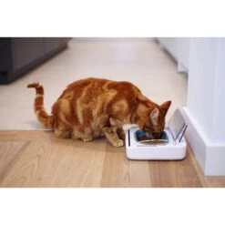 Comedero Hermético SureFeed -Mascota Suministros Ventas 69308 pla 5 luftdichte futt 5