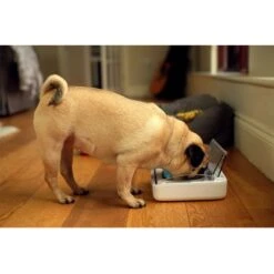 Comedero Hermético SureFeed -Mascota Suministros Ventas 69308 pla 6 luftdichte futt 3