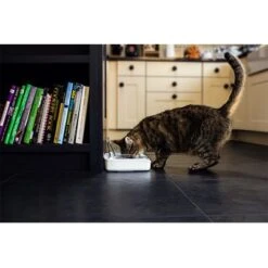 Comedero Hermético SureFeed -Mascota Suministros Ventas 69308 pla 7 luftdichte futt 5