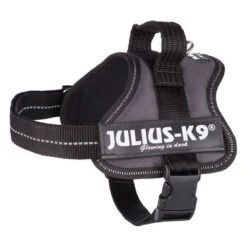 Julius K9 Arnés JULIUS-K9® Power Antracita Para Perros -Mascota Suministros Ventas 69338 pla trixie julius k9 farbangabe hs 03 15020za 3