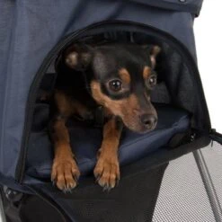 Cochecito Para Mascotas Pequeñas Sporty Pet Stroller -Mascota Suministros Ventas 71006 sporty pet stroller fg 8107 6